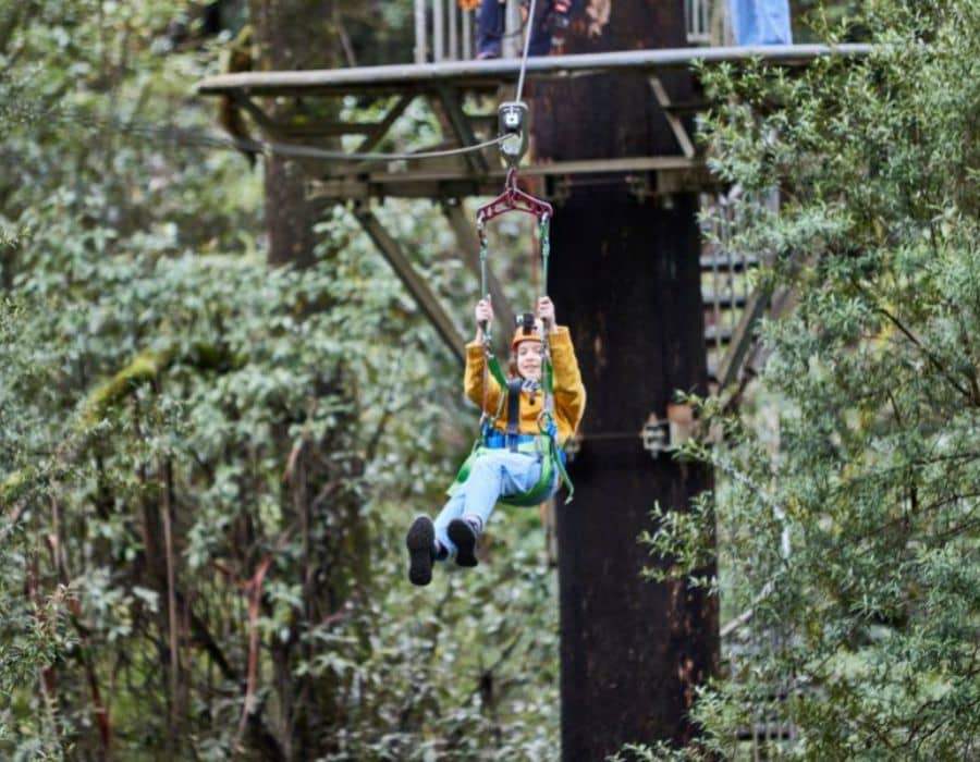 Otway Fly Treetop Walk