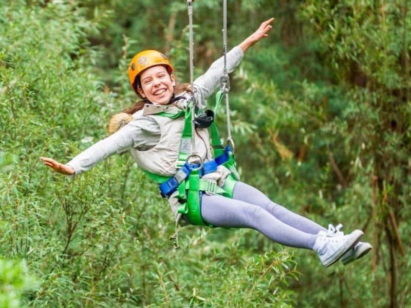 Otway Fly Zip Line Tours