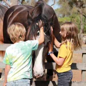 Churchill Island Heritage Farm