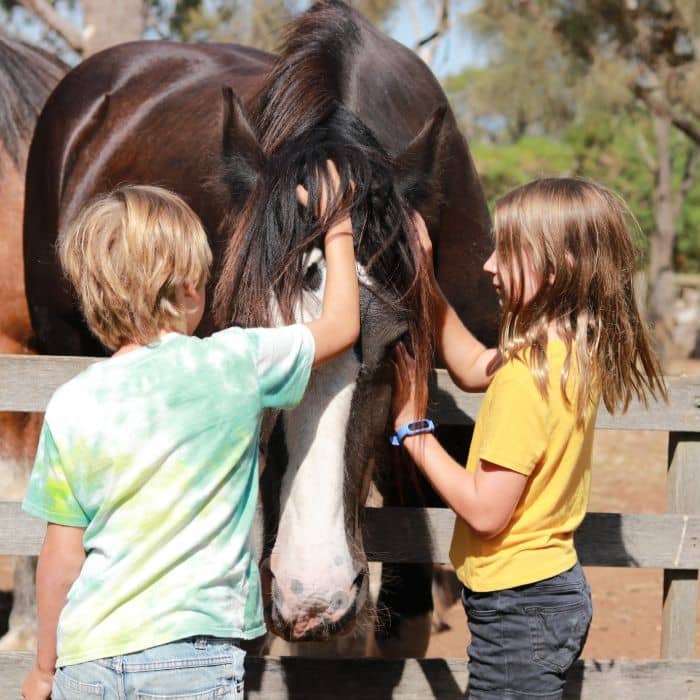 Churchill Island Heritage Farm