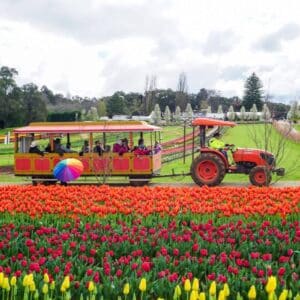 day trips for spring