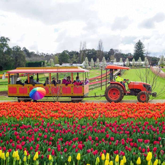 day trips for spring