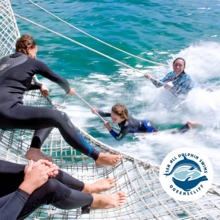 Sea All Dolphin Swims