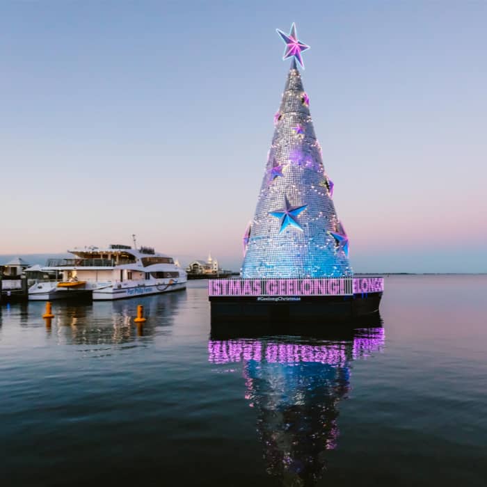 Floating Christmas Tree
